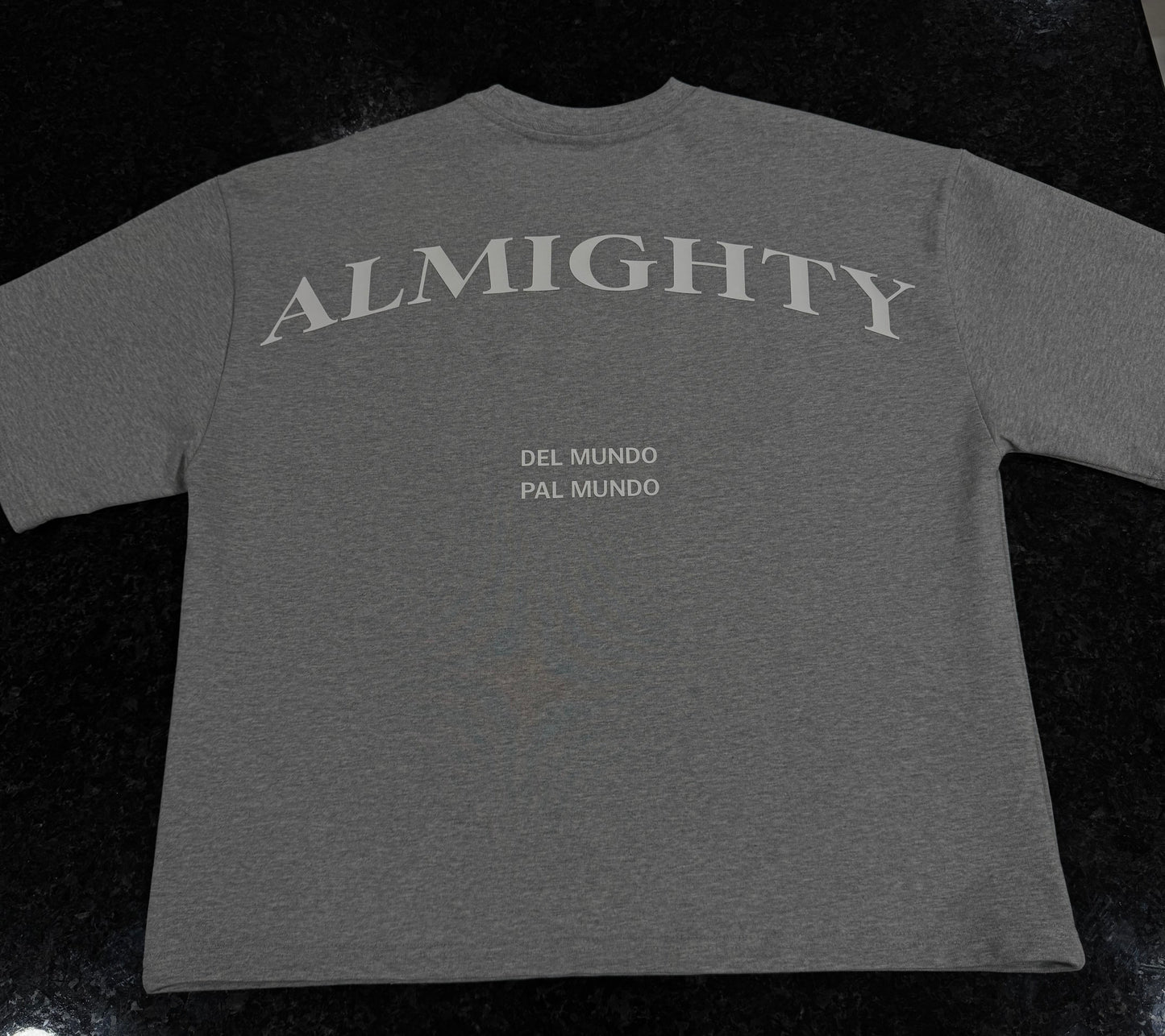 GREY HEAVYWEIGHT OVERSIZE T ( LIMITED EDITION )