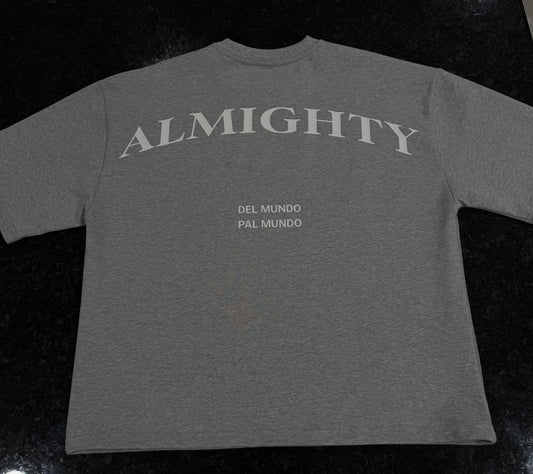 GREY HEAVYWEIGHT OVERSIZE T ( LIMITED EDITION )