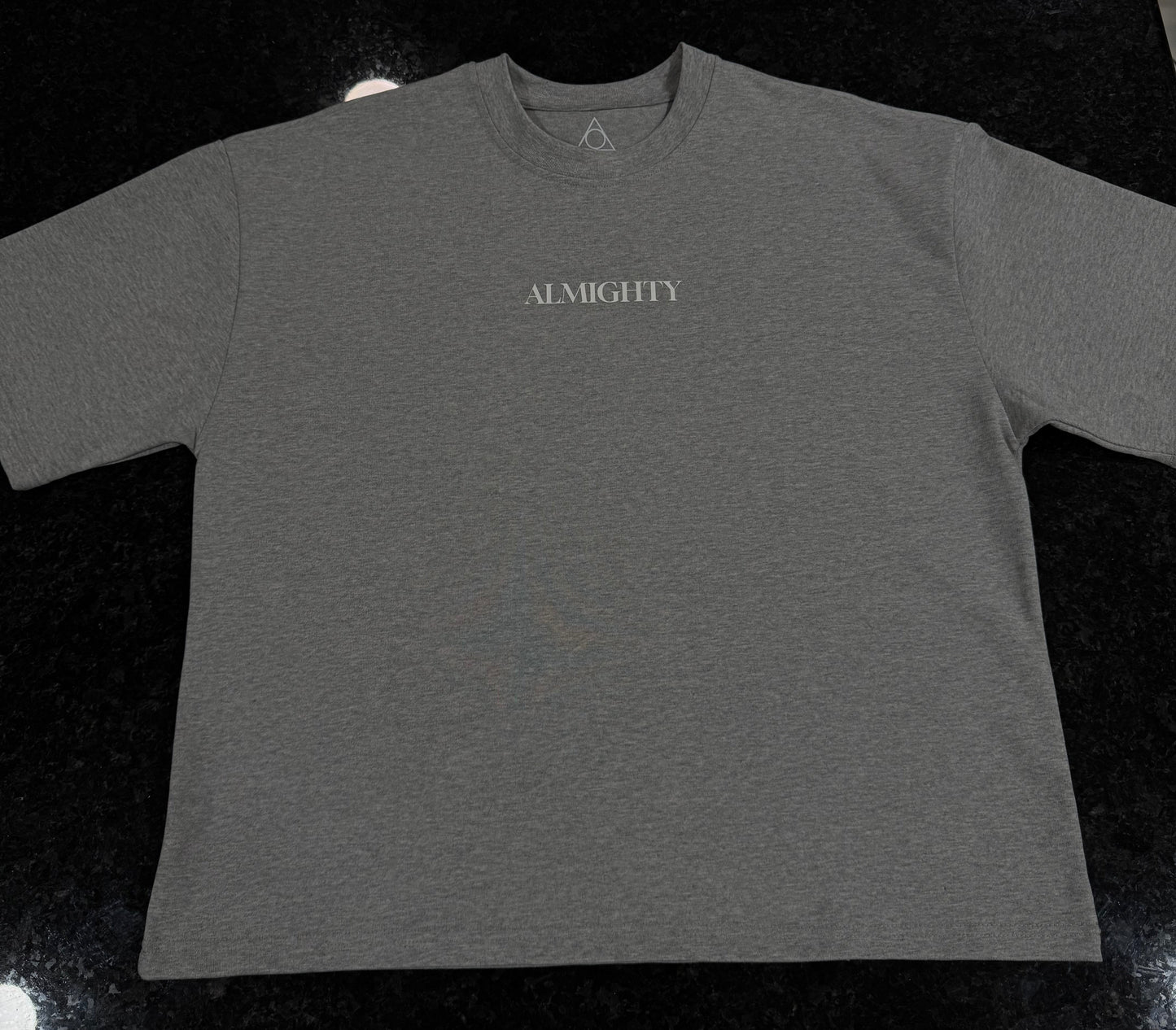 GREY HEAVYWEIGHT OVERSIZE T ( LIMITED EDITION )